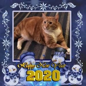 Meet your Posher, Bev